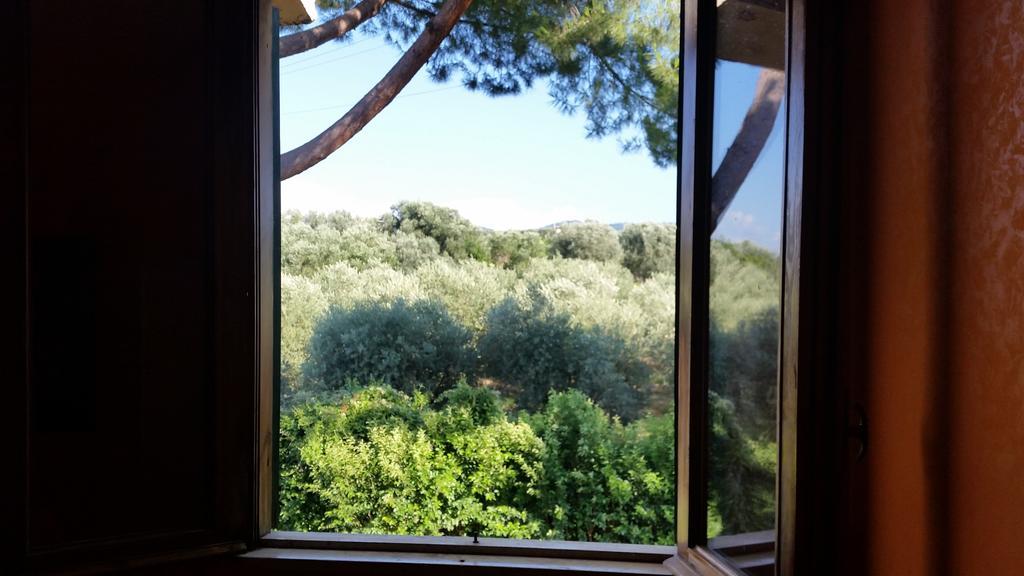 Hotel Villa Maria Luigia Frascati Quarto foto